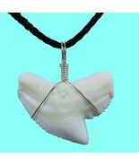 TIGER SHARK TOOTH REAL NECKLACE PENDANT SURF WEAR SEA TRINKET SURFER CHO... - $220.63 MXN