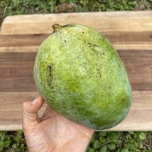 Item image 1 image 1