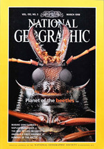 Vintage National Geographic Magazine March 1998: Planet of Beetles Naples No map - $7.01