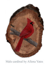 Male Cardinal wood slice magnet/ornament hand-painted-to-order - $45.00
