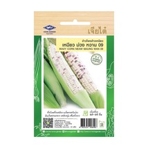 Sugar Pea Seeds Home Garden Fresh Vegetable The Best Thai Seeds From Thailand - £6.31 GBP