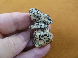Y-BUN-ST-574 little black white spotted BUNNY RABBIT HARE gemstone FIGURINE - $18.69