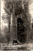 California Chandelier Tree Underwood Park Redwood Highway Postcard Y12 - £5.53 GBP