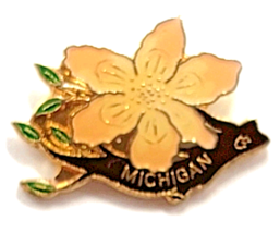 Michigan Apple Blossom Flower Branch Pin Vintage Enamel State Souvenir T... - $206.02 MXN