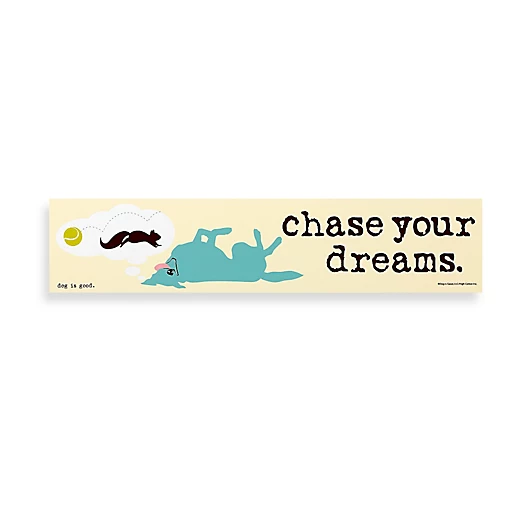 NEW Chase Your Dreams Decorative Wood Sign w/ dog &amp; squirrel 16 x 3.5 in. yellow - $15.95