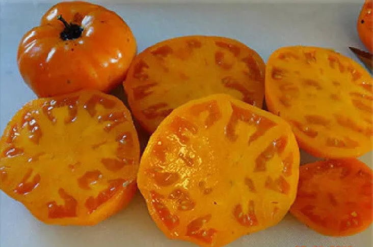 50 Seeds Orange King Tomato Vegetable Fresh USA Fast Shipping - $16.50