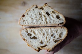 100 yr old sourdough starter from a bakery on the san francisco wharf @f... - $7.72