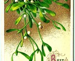 Best Christmas Wishes Mistletoe Embossed Gilt John Winsch 1911 DB Postca... - $9.85