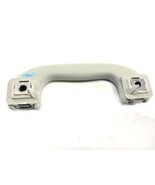 2021-2024 Chevy Trailblazer LT Front Grab Handle Grey Complete With Trim... - $24.70
