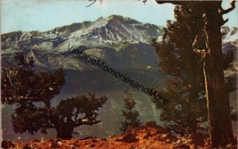 Pikes Peak as Viewed from Camera Point on Rampart Range Postcard PC279 - £3.74 GBP