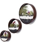 Brown 3 Pcs Round Hanging Wall Vase Planter for Succulents Home Wall Dec... - $54.99