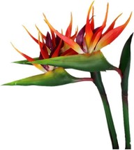 Large Bird Of Paradise 32 Inch Permanent Flower ,Flower Stem 0.5, Orange Red - £26.72 GBP