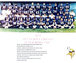 1973 MINNESOTA VIKINGS 8X10 TEAM PHOTO FOOTBALL NFL PICTURE SBVIII - $4.94