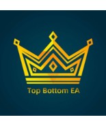 TopBottom EA V1.31 MQ4 Source Code Without DLL - $10.00
