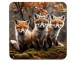 2 PCS Animal Foxes Coasters - £11.98 GBP