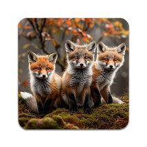 2 PCS Animal Foxes Coasters - £11.89 GBP