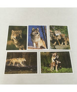 Five blank greeting with envelopes wolfs in natural habitat pictures on ... - $19.75