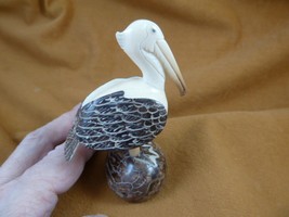 (TNE-BIR-PE-224a) Pelican coastal bird birds TAGUA NUT figurine pelicans - $40.19