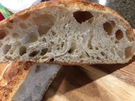 san francisco top seller sourdough starter yeast &#39;sally&#39; sour active @fresh - €6,65 EUR