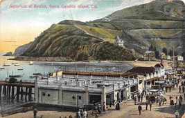 Aquarium Avalon Santa Catalina Island California 1909 postcard - £5.44 GBP