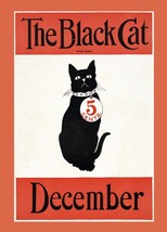 Poster Decoration.Home wall.Room vintage design.The Black Cat.Pet shop art.15313 - £12.81 GBP+