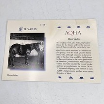 Breyer Quo Vadis Model Info Card AQHA - £3.92 GBP