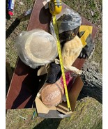 Lot 11 Vintage Ladies Hats  Feathers, fur, wool Lace Net Veils Pillbox, ... - $2,316.61 MXN