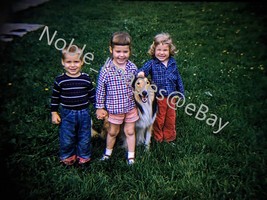 1959 Adorable Brother, Sisters with Their Collie Chicago Kodachrome 35mm... - £4.27 GBP