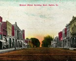 Walnut Street Looking East Ogden Iowa IA  1909 DB Postcard D11 - $13.81