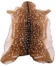Axis Deer Skin Hide Size: 40&quot; X 30&quot; Rug Grade Axis Deer Hide - Axis-606 - £203.19 GBP