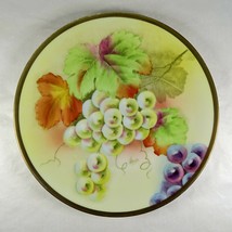 Beyer &amp; Bock Royal Rudolstadt Prussia Hand Painted Plate Grapes Signed Stein - £23.81 GBP