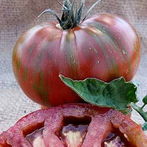 Ship From Us Vintage Wine Tomato - 4 G ~1,000 Seeds - Heirloom, NON-GMO, TM11 - £65.19 GBP
