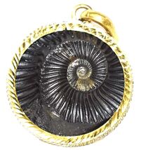 Golden Sudarshan Shaligram in Panchdhatu Pendant - $113.85
