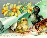 Vtg Cartolina Tuck&#39;s Pasqua Serie 112 - Chicks &amp; Giunchiglie - Happy To You - $16.39