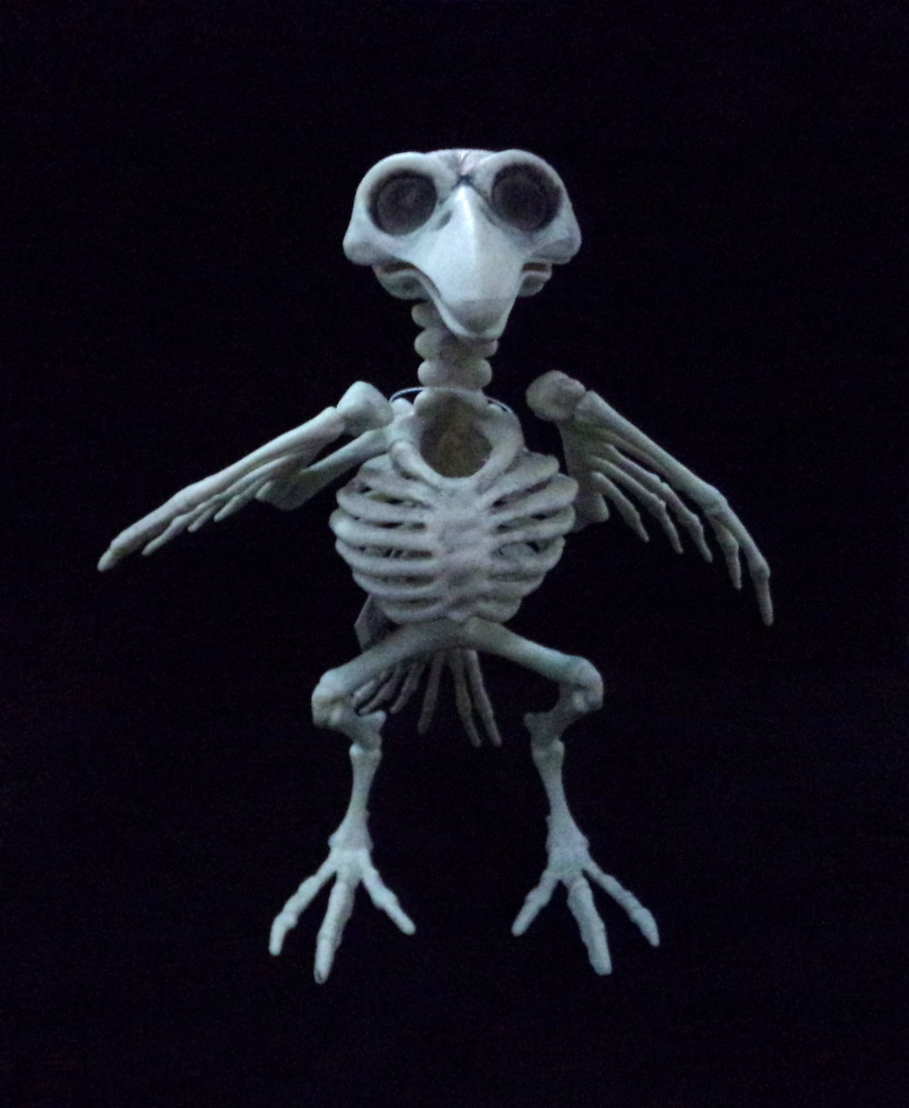 FORUM 8" BIRD/CROW SKELETON FIGURE PROP ACCESSORY 79284 w/ MOVEABLE LIMBS Item image 3