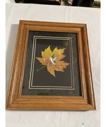 Hummingbird Leaf Painting Framed Matted Artist Dennis Haese Original Nat... - £38.52 GBP