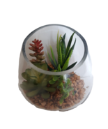 New Glass Potted Succulent Artificial Plant with pebbles - $277.80 MXN
