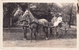Rare Markings Stripes on Pair Horses Carriage Buggy Real Photo RPPC Postcard D39 - £2.39 GBP