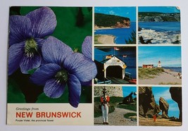 1972 New Brunswick Postcard Greetings Vintage Retro Travel Canada Canadian - £10.17 GBP