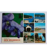 1972 NEW BRUNSWICK POSTCARD GREETINGS VINTAGE RETRO TRAVEL CANADA CANADIAN - $17.81 CAD