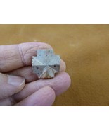 CR594-302) 13/16&quot; Fairy Stone CHRISTIAN CROSS Staurolite Lucky Crystal c... - $50.58 CAD
