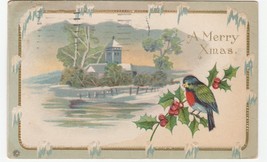 Vintage Postcard Christmas Colorful Bird Winter Scene Embossed 1919 - £5.52 GBP