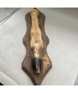 Vintage Taxidermy Whitetail Deer Leg Foot Hoof  On The Wood - $39.59