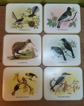 New Zealand Birds Kiwi World Coasters Set of 6 Cork Back King Fisher Tui Fantail - $28.24