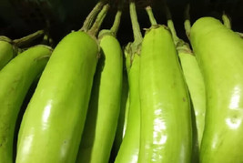 50 Seeds Organic Green Ichiban Eggplant Create A Lush Garden With Premium Seeds - $9.49