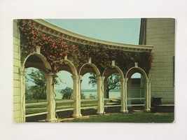  vintage POSTCARD unposted ✉️ CORRAL HONEYSUCKLE on Mount Vernon Mansion - £1.94 GBP