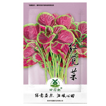 2000 Seeds Red Amaranth Seeds Chinese Spinach Seeds Amaranth ?? Grow Fresh Fresh - £7.85 GBP