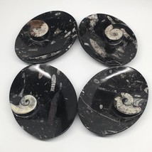 4pcs,6.25&quot;x4.75&quot;x5mm Oval Fossils Orthoceras Ammonite Bowls Dishes,Black, MF1382 - £28.77 GBP