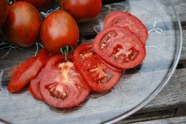 BEST 50 Seeds Easy To Grow Costoluto Genovese Tomato Juicy Vegetable Tomatoes - £7.47 GBP