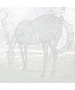 Hartford, CT,  Riverside Park, Hollow Horse # 2 (infrared) / Printable Download - $9.50